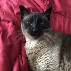 Meet your Posher, Heather